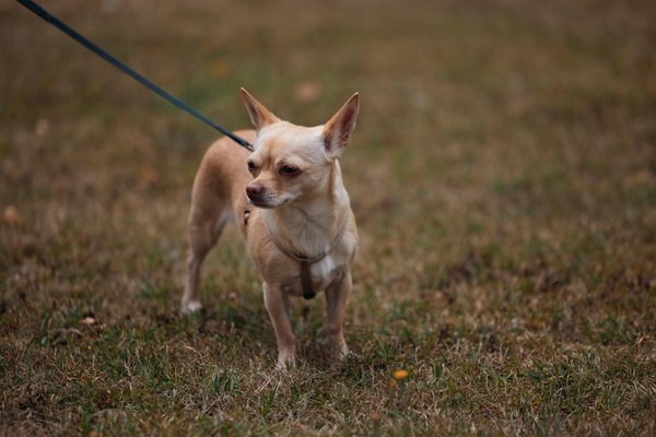 The most secure mail merge, iso 27001